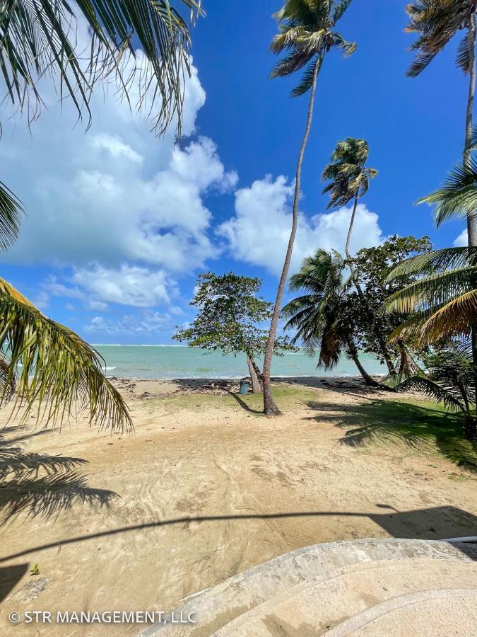Upscale Condo At Aquatika Beach & Vacation Villas Loiza Kültér fotó
